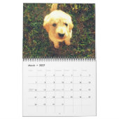 Änderung Welpen-Juni-2012 Kalender (Mär 2027)