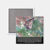 Änderungen des Lebens durch Inspiration Magnet (Vorderseite/Rückseite)