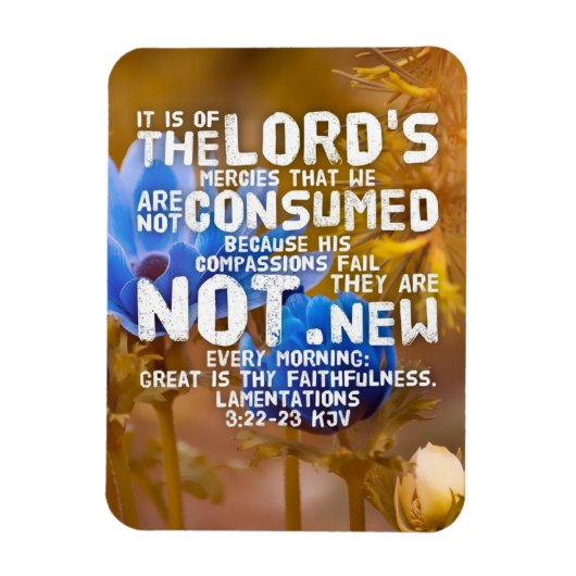 Änderungsanträge 3:22-23 KJV Bibelverse Magnet (Vertikal)