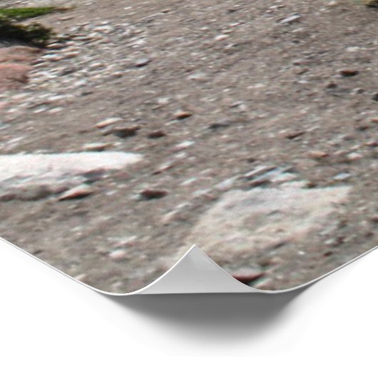 Andes Range, Patagonia Poster (Ecke)