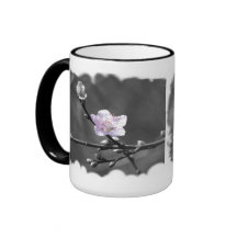 Andeutung der rosa Kirschblüte