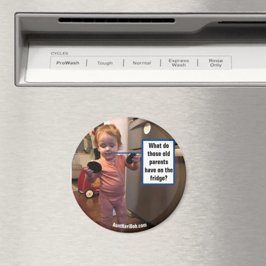 Andi Fridge Inspection Magnet (In Situ (Geschirrspüler))