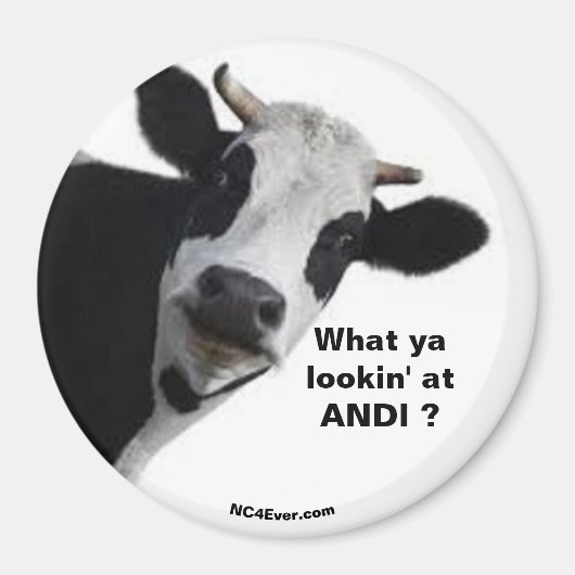 ANDI Was siehst du dir an? Spaß Magnet (Vorne)
