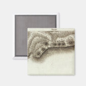 Andorre Magnet (Vorderseite/Rückseite)