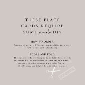 ANDREA Burgundy Blush Minimal Wedding Place Cards Tischnummer