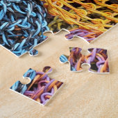 Andrea DuFlon, floribunda multipetala Puzzle (Seite)