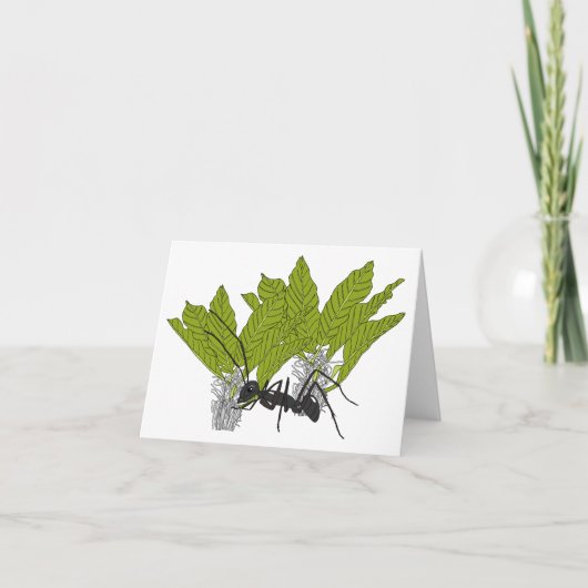 Andrew die Ameise Karte (Vorderseite)