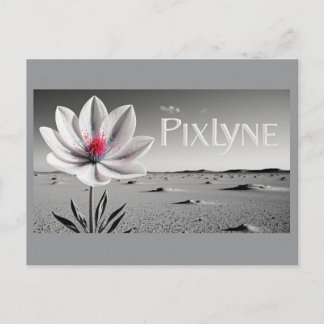 Andrew Goodchild Post Card Postkarte