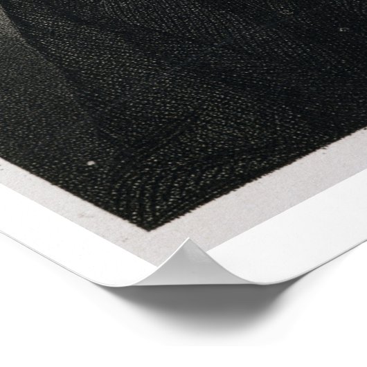 Andrew Jackson (Gravur) Poster (Ecke)