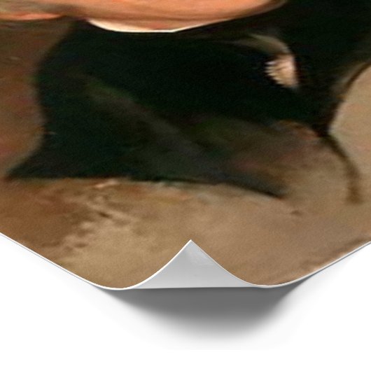 Andrew Jackson Poster (Ecke)