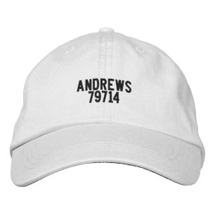 ANDREWS TEXAS Hut