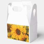 Andriola Geschenkschachtel (Geöffnet)