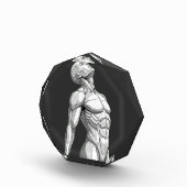 Android Anatomy: Octagonal Cyborg Acrylic Block (Rechts)