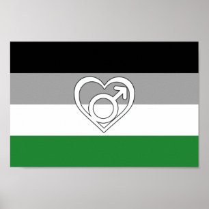 Androphilie-Stolzflagge und Symbol Poster