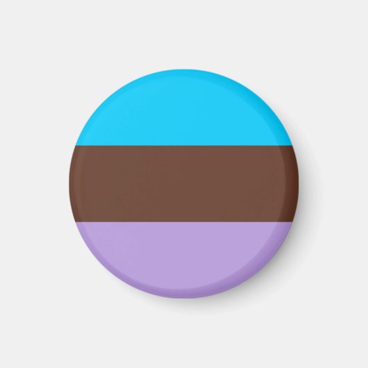 Androsexual Pride Flag Magnet (Vorne)