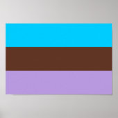 Androsexual Pride Poster (Vorne)