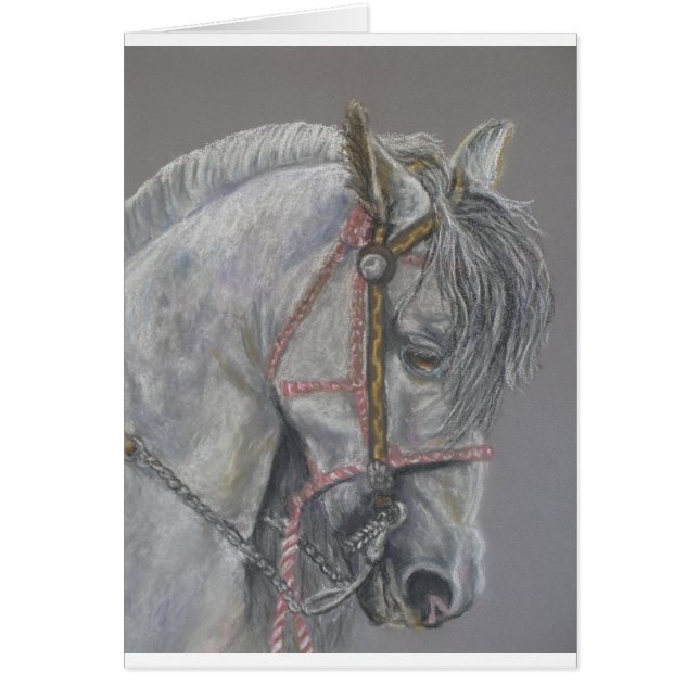 Andualusian Pferdekarte (Vorne)