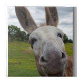 Andy Fliese (Vorderseite)