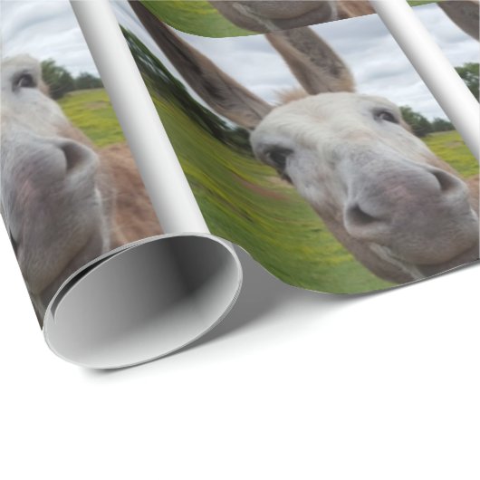 Andy Geschenkpapier (Rolleneckpunkt)