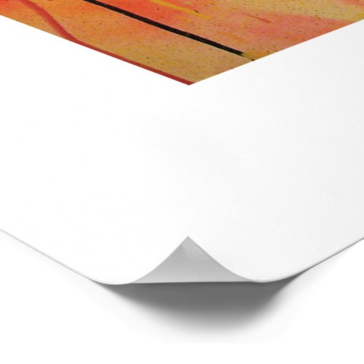 Andy Howell Posters Poster (Ecke)