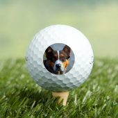 Andy The Australian Blue Heeler, Golfball (Insitu T-Shirt)