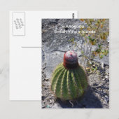 Anegada BVI Postkarte (Vorne/Hinten)