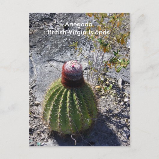 Anegada BVI Postkarte (Vorderseite)