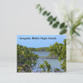 Anegada BVI Postkarte (Stehend Vorderseite)
