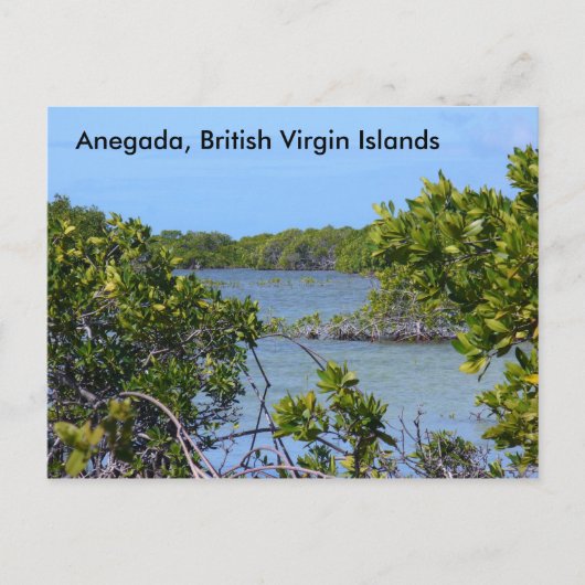 Anegada BVI Postkarte (Vorderseite)