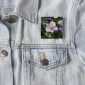 Anemon Button (Beispiel)