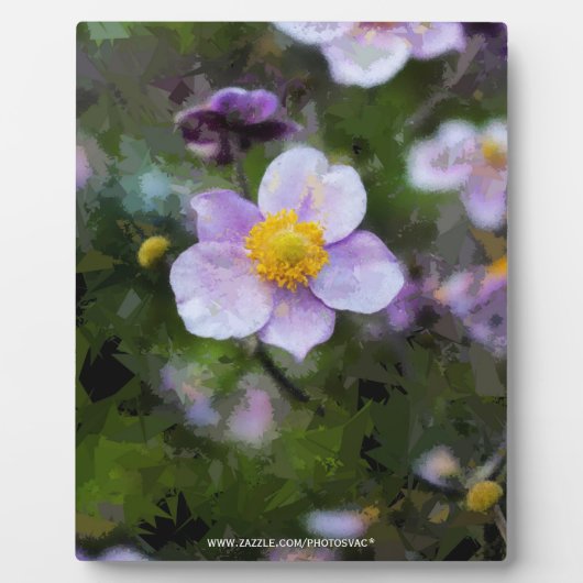 Anemon Fotoplatte (Vorderseite)