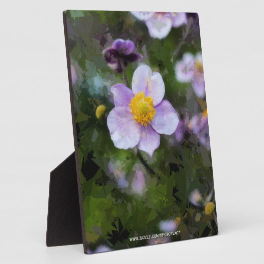 Anemon Fotoplatte (Seite)