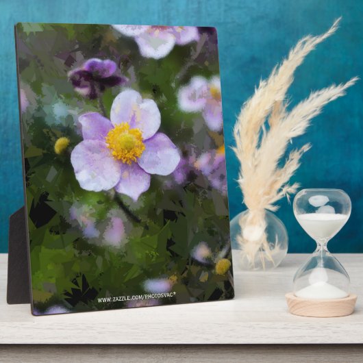 Anemon Fotoplatte (Seite)