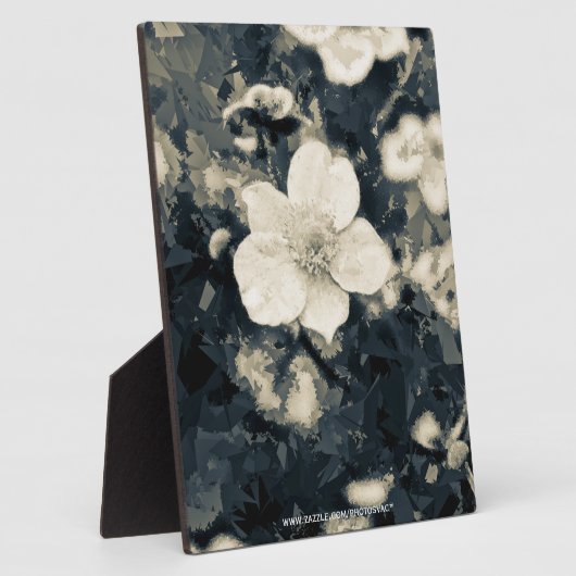 Anemon Fotoplatte (Seite)