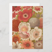 Anemon | George Nicholson (Vorne/Hinten)