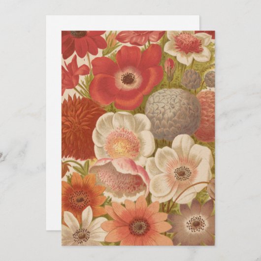 Anemon | George Nicholson (Vorne/Hinten)