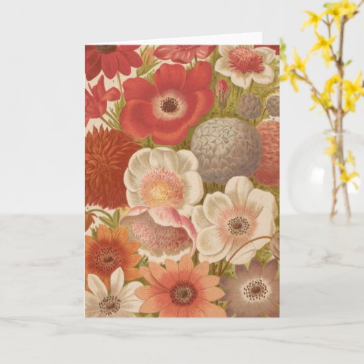 Anemon | George Nicholson Karte (Gelbe Blume)