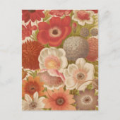 Anemon | George Nicholson Postkarte (Vorderseite)