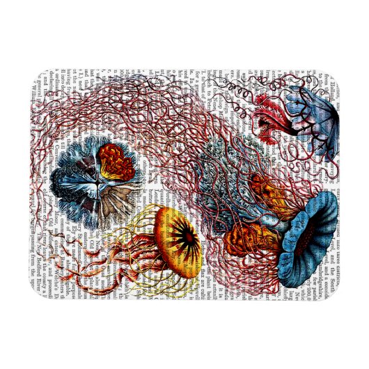 Anemon Magnet (Horizontal)