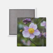 Anemon Magnet (Vorderseite/Rückseite)