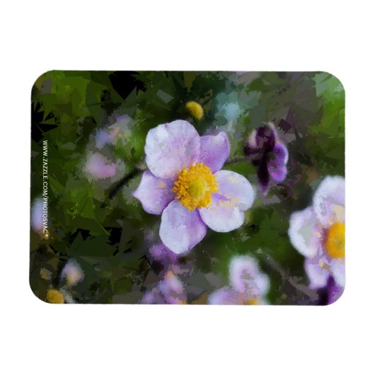 Anemon Magnet (Horizontal)