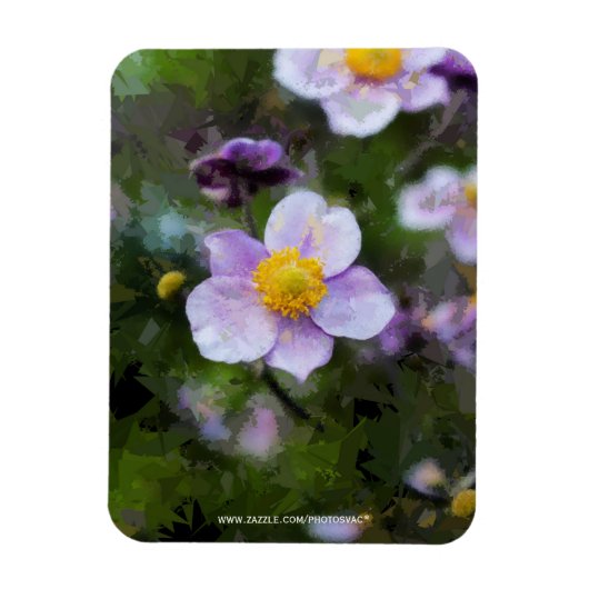 Anemon Magnet (Vertikal)