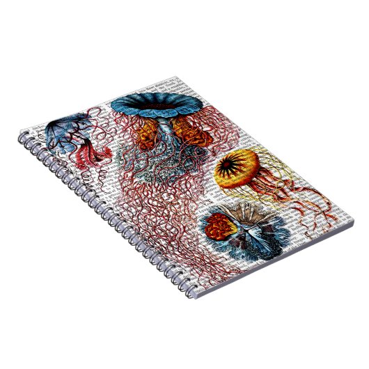 Anemon Notizblock (Rechte Seite)