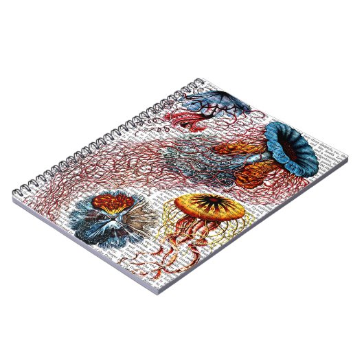 Anemon Notizblock (Linke Seite)