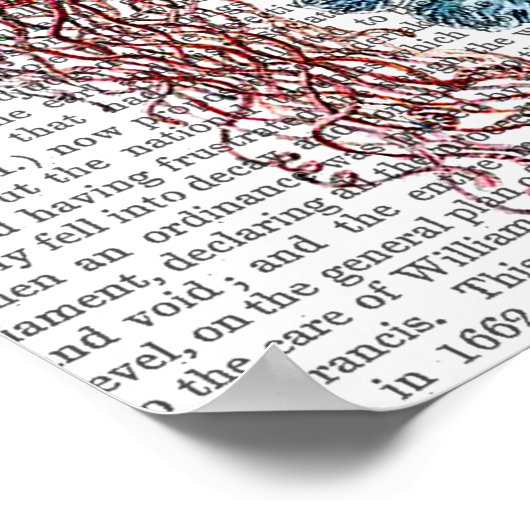 Anemon Poster (Ecke)