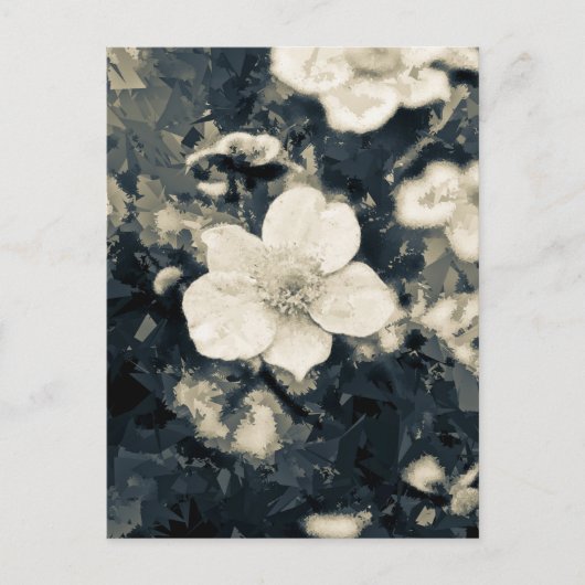 Anemon Postkarte (Vorderseite)