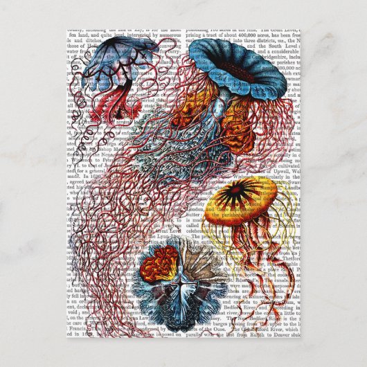 Anemon Postkarte (Vorderseite)