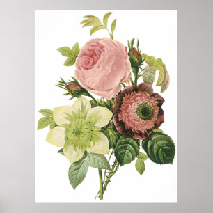 Anemon, Rose, Clematis Poster