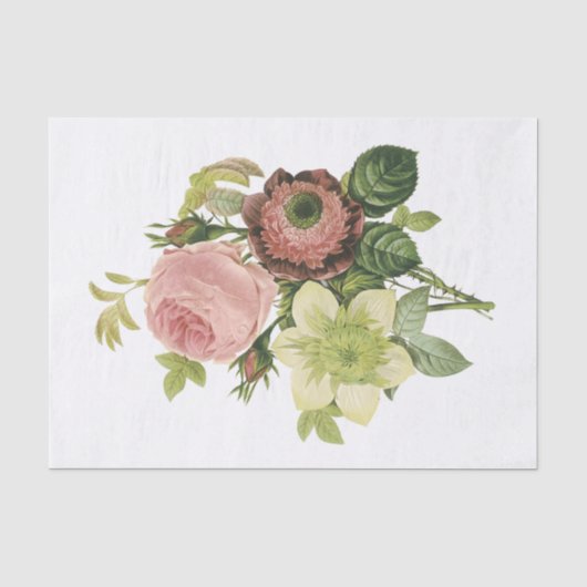 Anemon, Rose, Clematis Seidenpapier (Vorderseite)