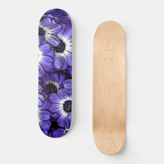 Anemon Skateboard (Vorderseite)